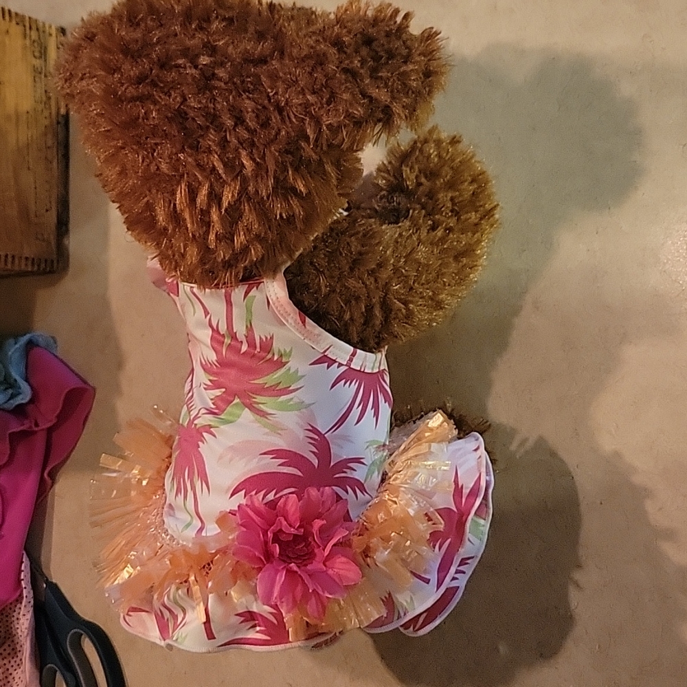 Dog swim suit